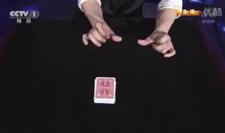 2013年春晚刘谦魔术 2013年春晚刘谦魔术