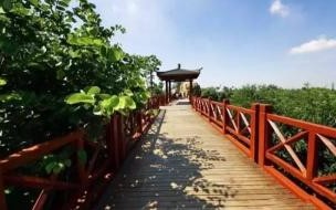 下雨天去鼓浪屿方便吗 厦门鼓浪屿值得去吗